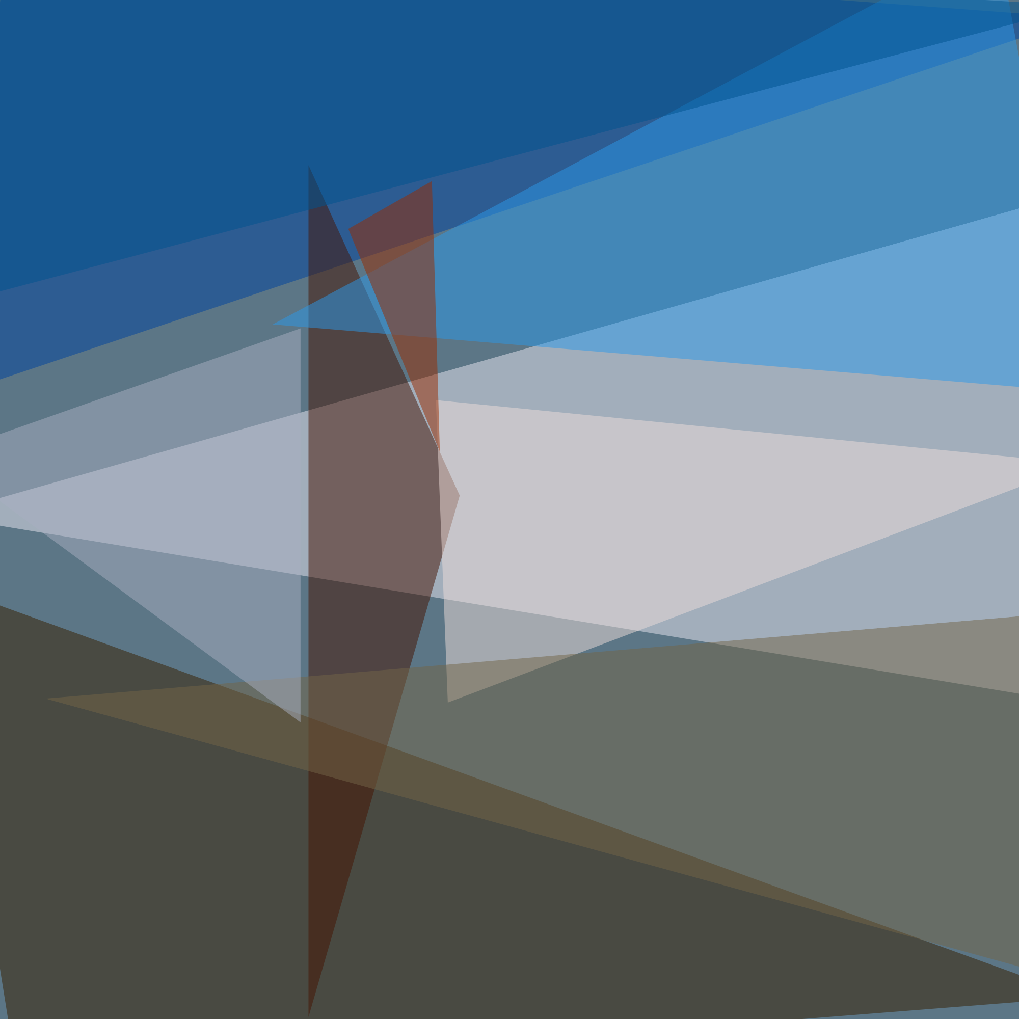 Procesando una imagen usando Primitive con 10 triángulos